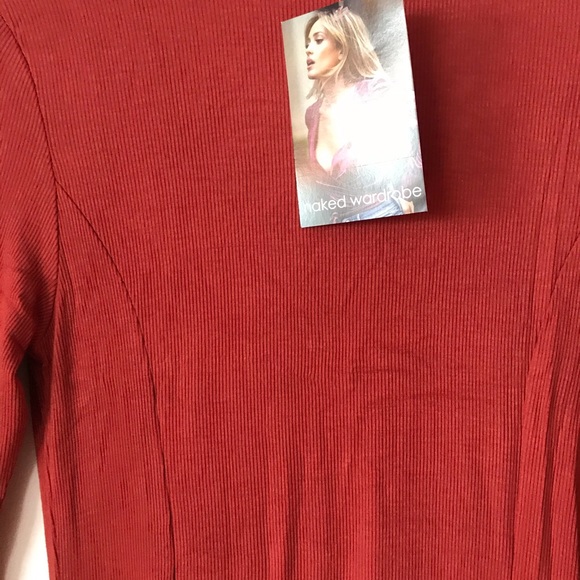 NWT rust bodycon. 2nd pic is the color. - Picture 2 of 2
